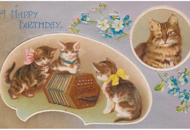 Les animaux sont des sujets très plaisants, cependant la cote va vers les chatons, toujours très « mignons » pour tous (3)