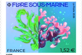 flore sous-marine